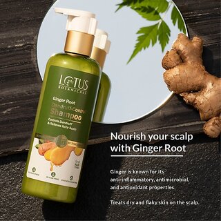 Lotus Botanicals Ginger Root Dandruff-Controlx Shampoo - 300Ml ( Pack Of 2 ) (600 Ml) view 2