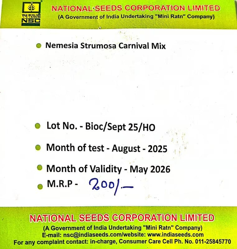 NSC Nemesia Strumosa Carnival mix-3 gms view 2