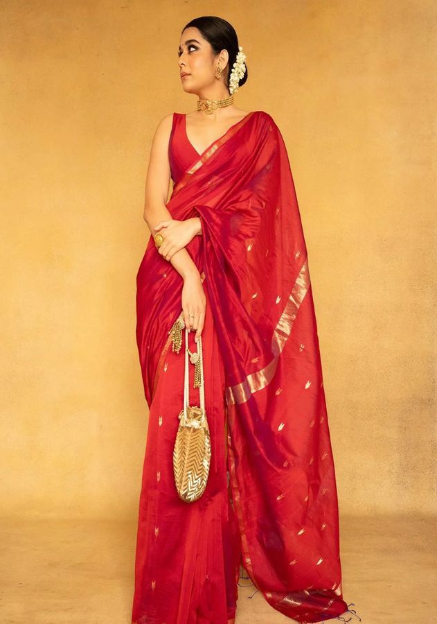Saree view 2