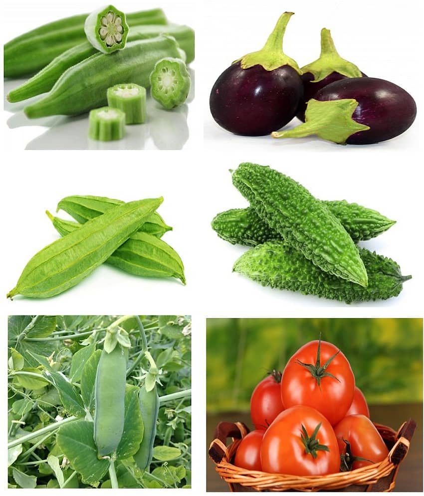 60 Hybrid High Germination Seeds Combo Of 6 Varieties Of Vegetable + Cocopeat + 4 Hole Seedling Tray + Instruction Manual view 2