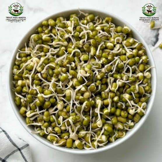 Whole Green Moong view 2