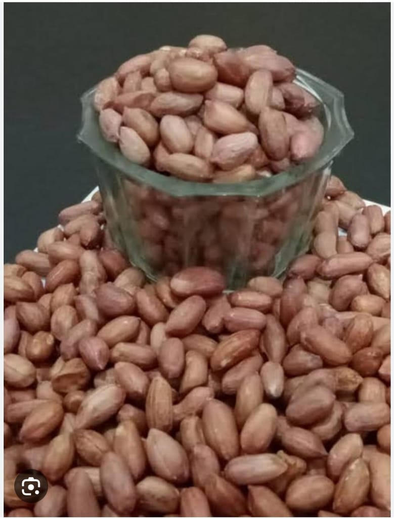 Groundnut view 2