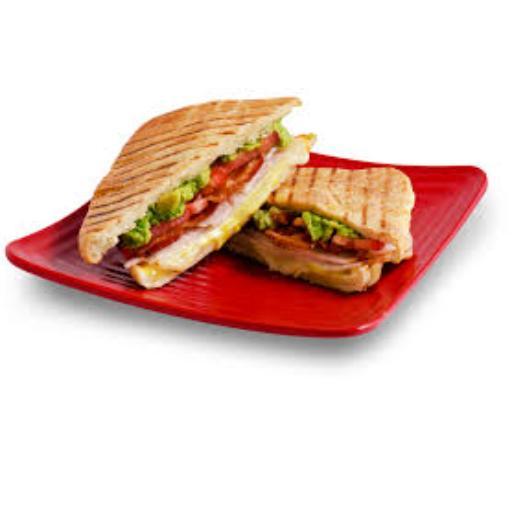 Veg Grill Sandwich