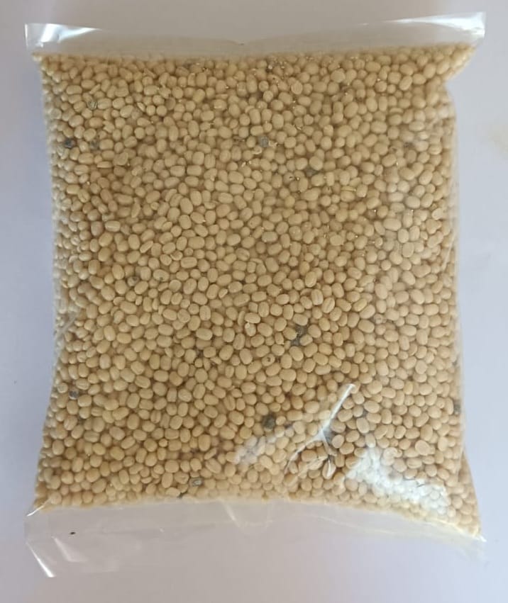 URAD DAL view 2