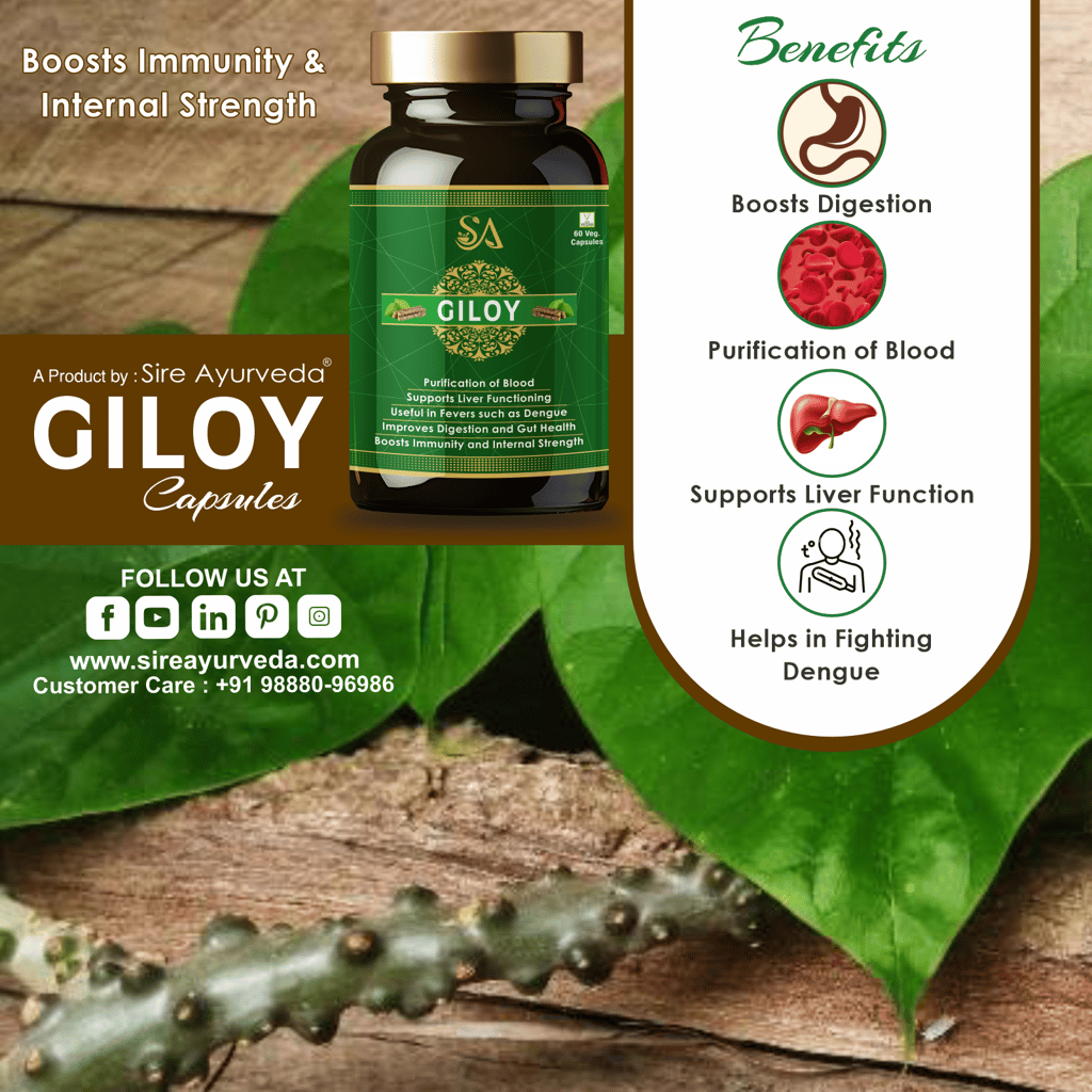 GILOY(Natural/Herbal for Blood Purification, Daily Immunity Boost & Resistance to Infections) view 2