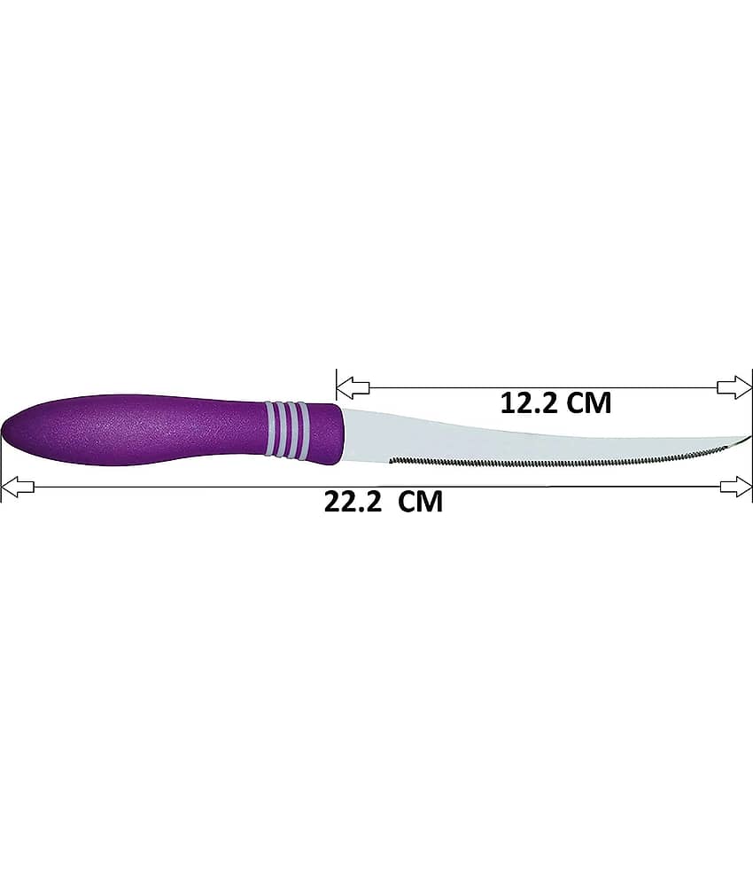 KTU Assorted Stainless Steel Utility Knife Blade Length 12 cm ( Pack of 2 ) view 2