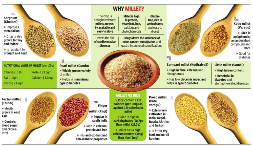 Jivan Organics | Barnyard Millet | 1KG view 2