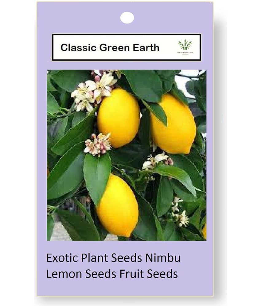 CLASSIC GREEN EARTH - Lemon Vegetable ( 30 Seeds ) view 2