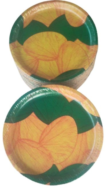 SRI MATHA PAPER PLATES view 2