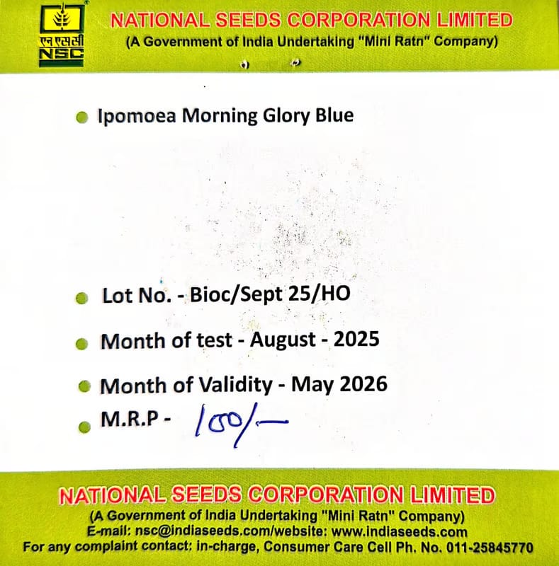 NSC Ipomoea morning glory blue-3gms view 2