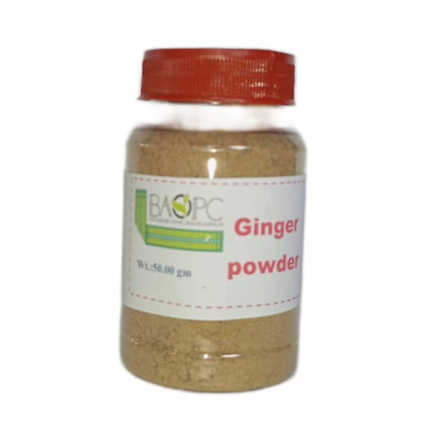 GINGER POWDER - 50 gm