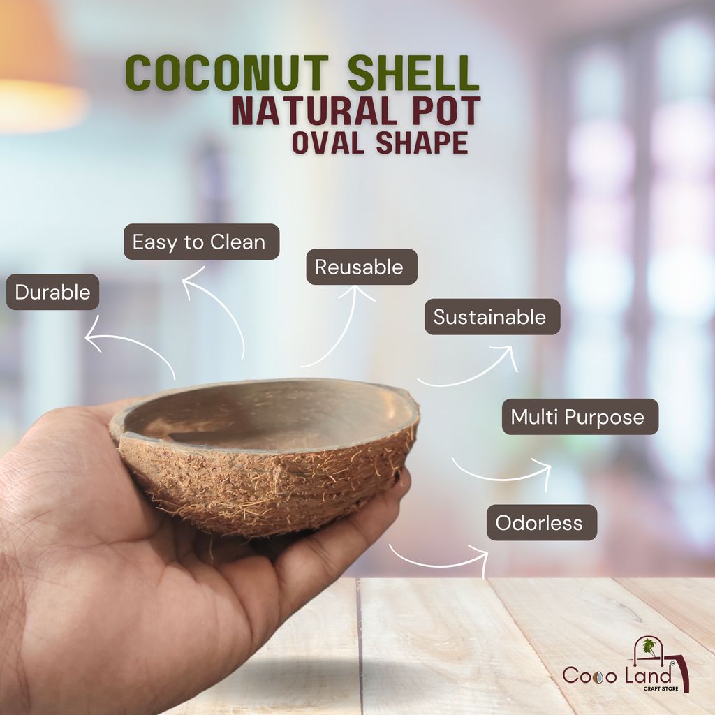 Coco Land Coconut Shell Natural Oval Pot (LARGE SIZE Pack of 30) 250 ml Decorative Pots/Showpieces/Candle Making Bowl /Handicraft/Agro Craft view 2