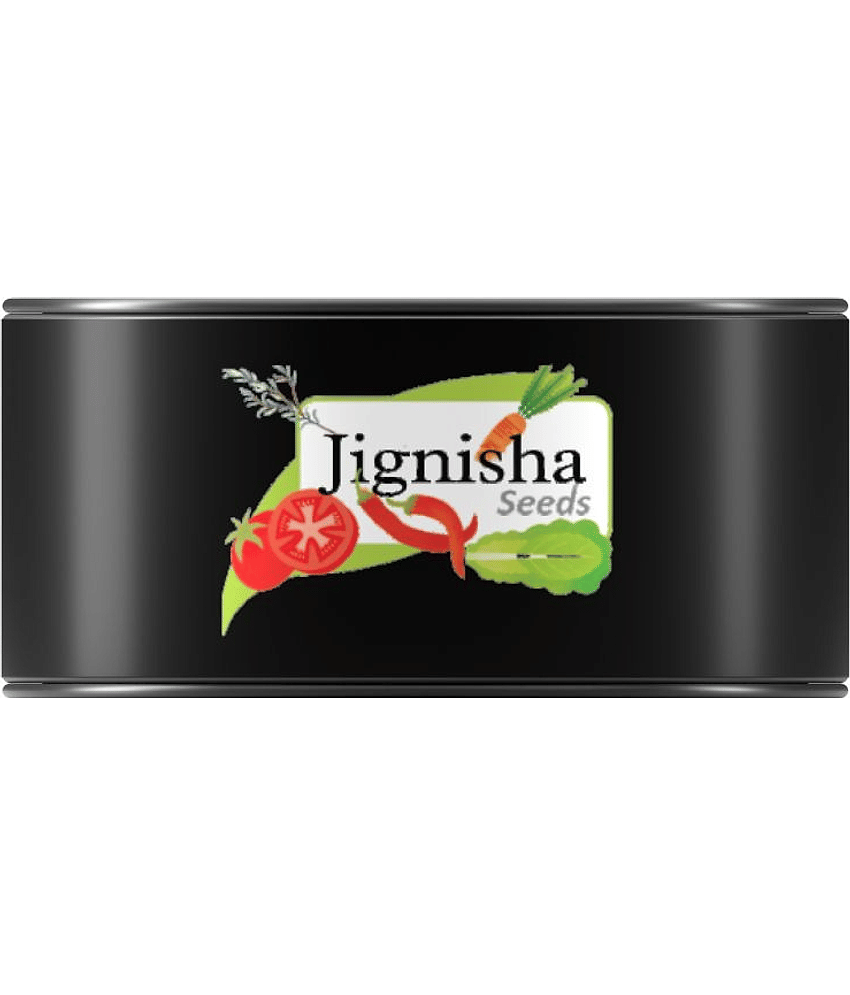 Jignisha Seeds Brinjal Vegetable ( 50 Seeds ) view 2