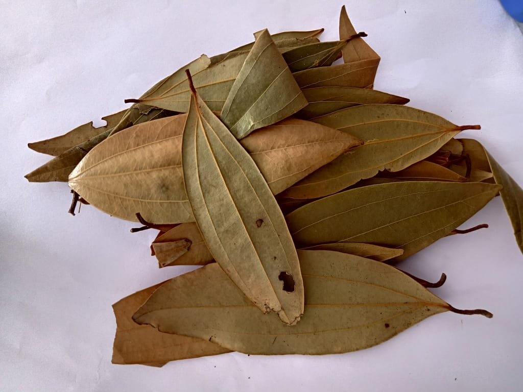Bay Leaves 100 gm view 2