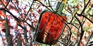 Jaguar Classic Red Eau de Toilette 100ml for Men Perfume Men Scent view 2