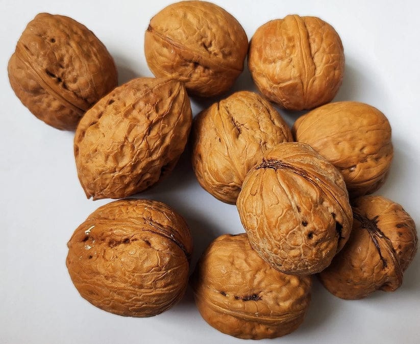 Kashmiri Walnut Whole view 2