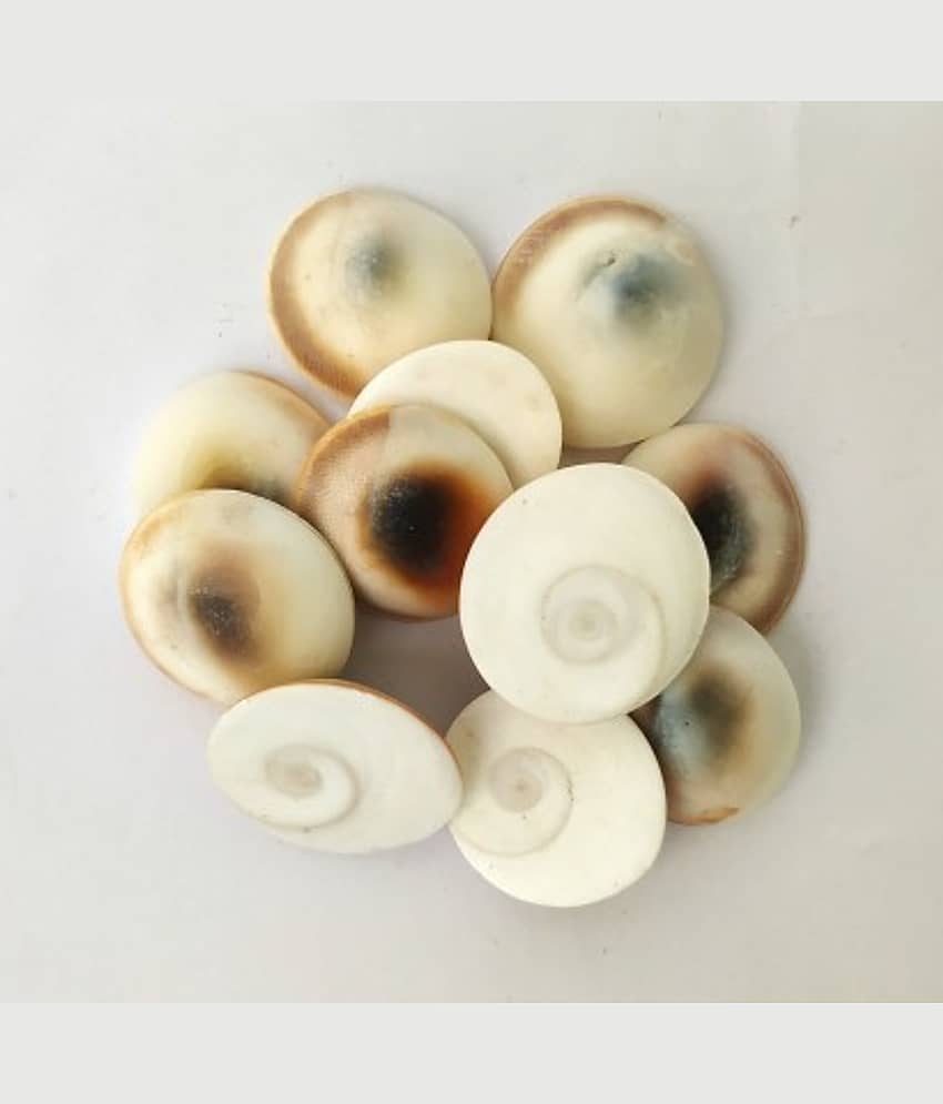 YASH GEMS Vastu Showpiece 8 cm - Pack of 1