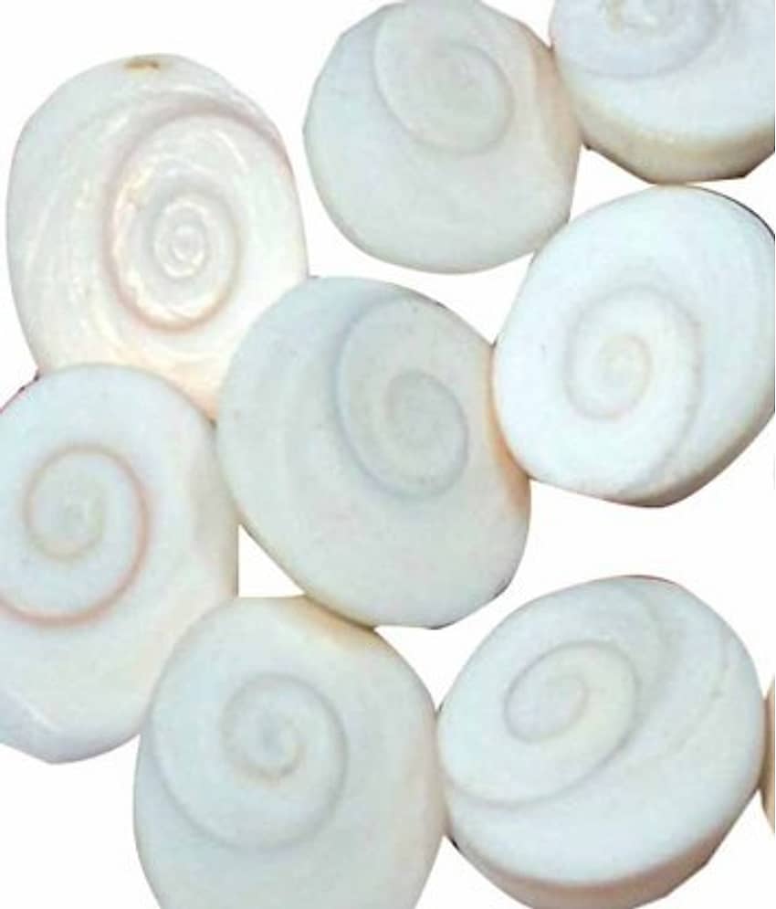 YASH GEMS Vastu Showpiece 8 cm - Pack of 1 view 2