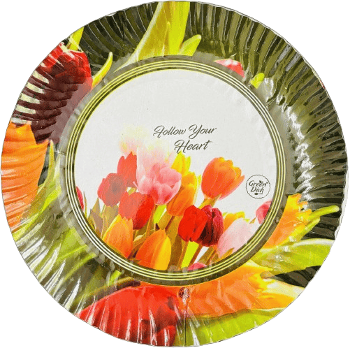 ASOMI PAPER PLATE view 2