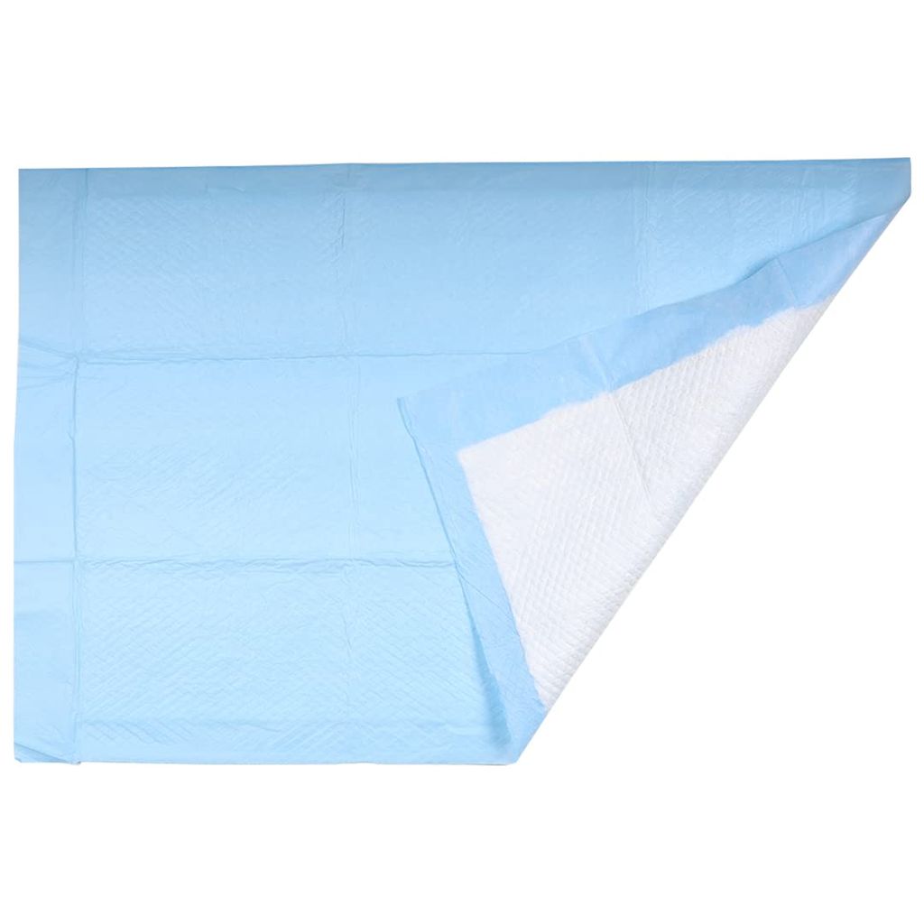 FAIRBIZPS Disposable Underpads Large Size - 10 Pcs. (60*90 CMS) Light Blue view 2