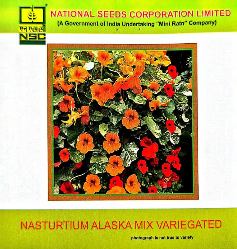 NSC Nasturtium Alaska mix Variegated-3gms