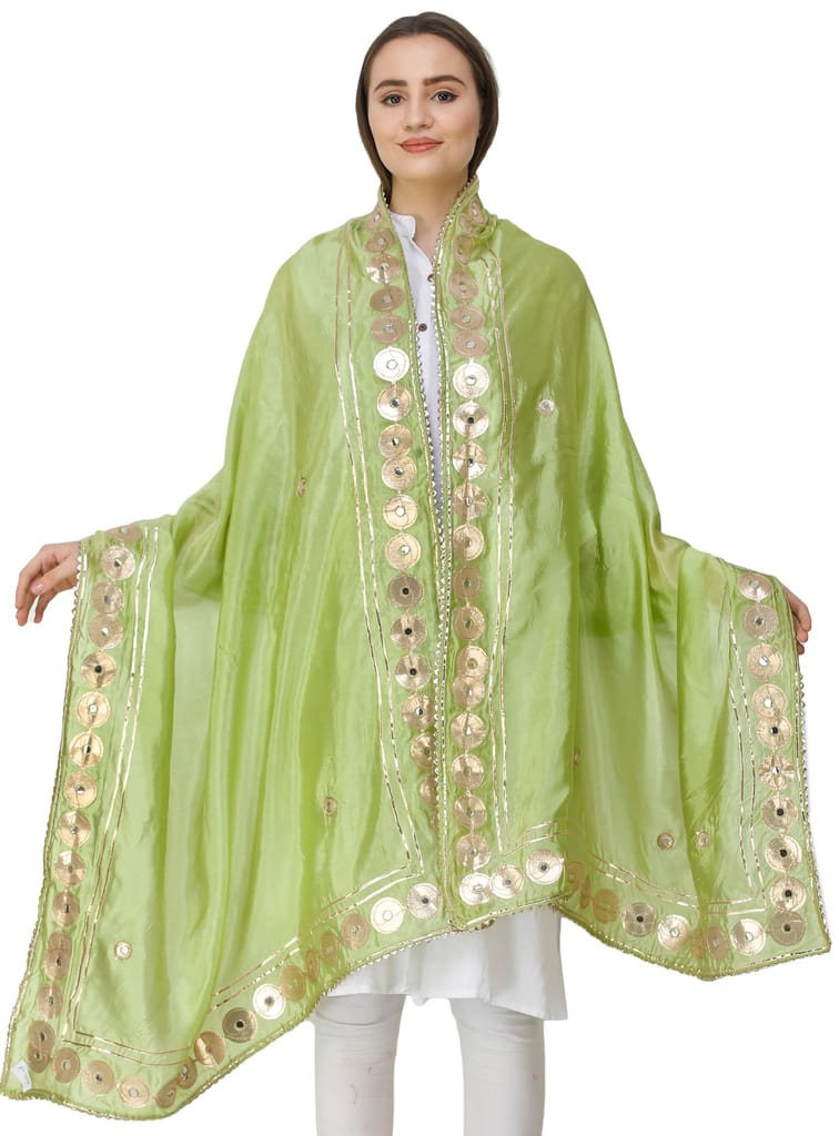 Greenery Dupatta from Amritsar Embellished with Patch Border view 2