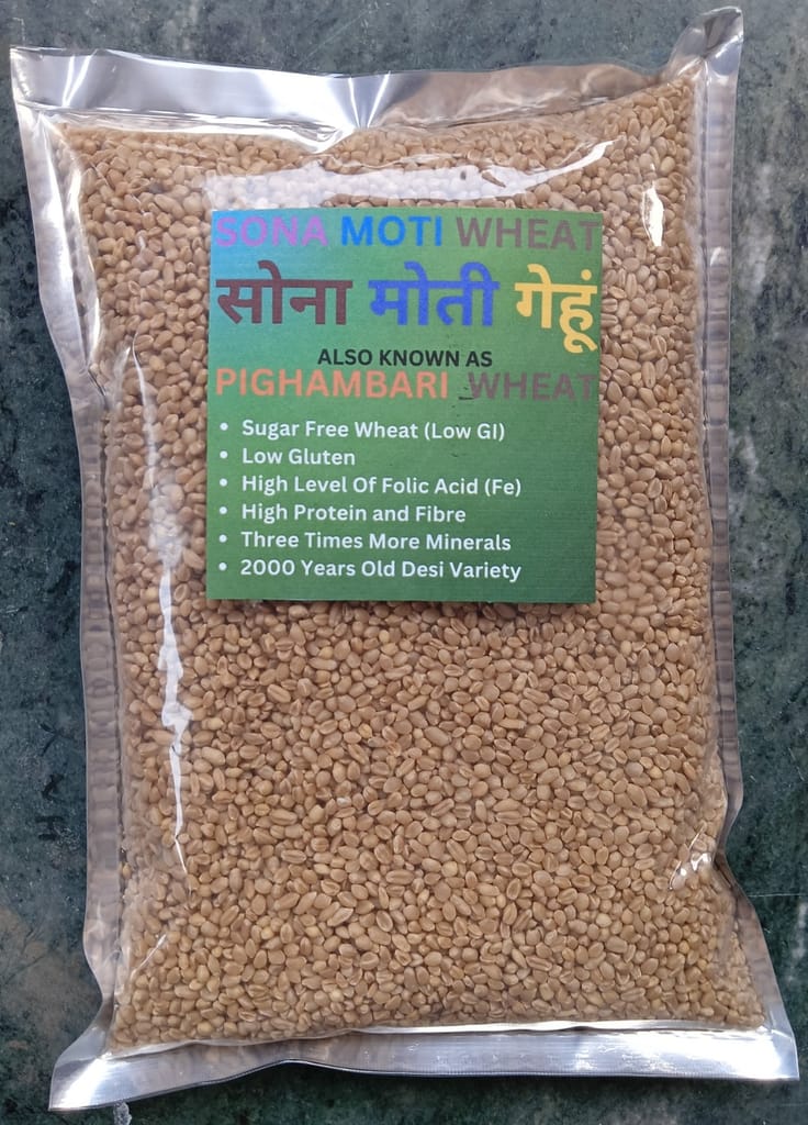 Sona Moti Wheat view 2