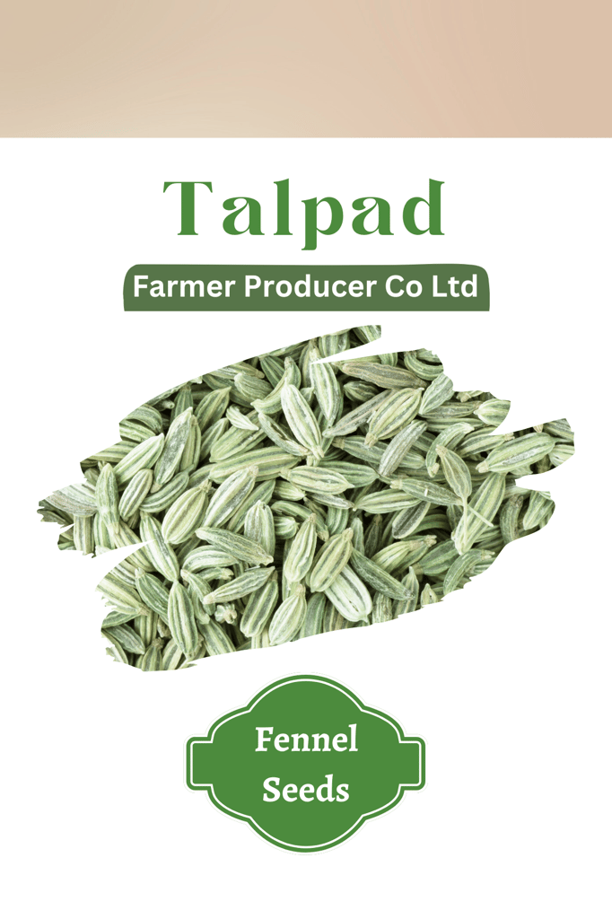 Talpad Fennel Seeds | Packs of 2 view 2
