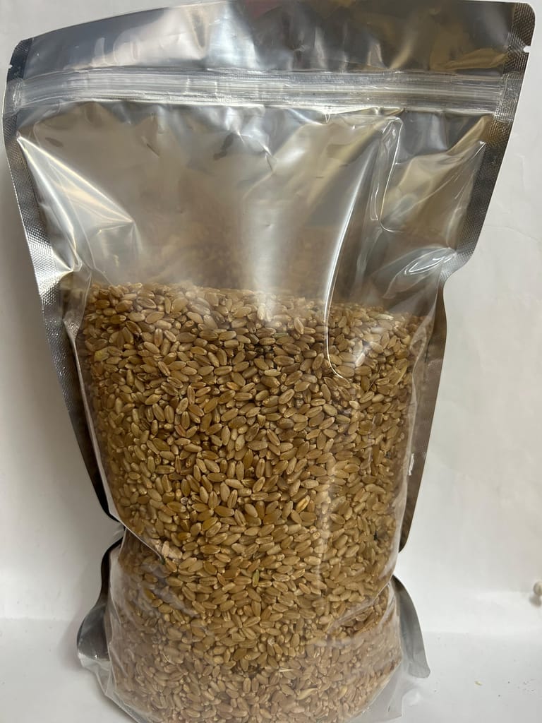 Wheat Grains 1Kg view 2
