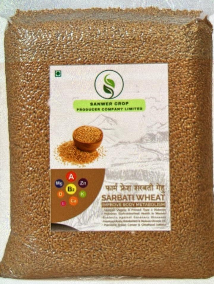 Sarbati Wheat 10kg