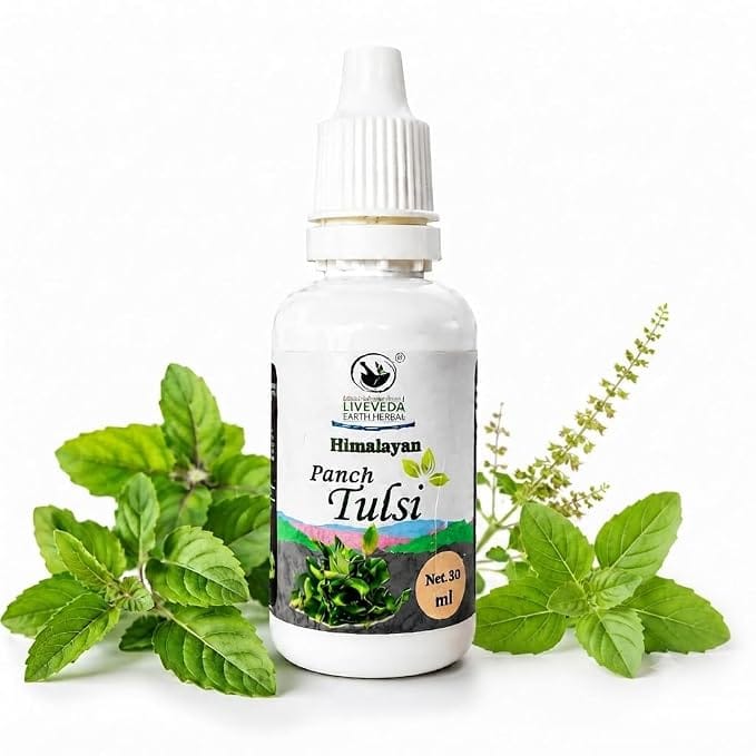 Divine Earth Herbal Liquid Himalayan Panch Tulsi Drop | Daily Wellness & Immunity Support, Stress Relief | 30 ml