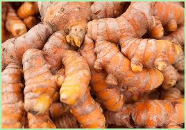 Turmeric view 2