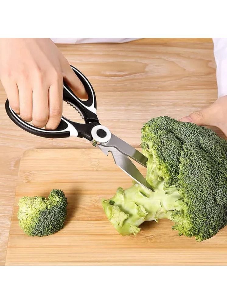 Kitchen Scissor view 2