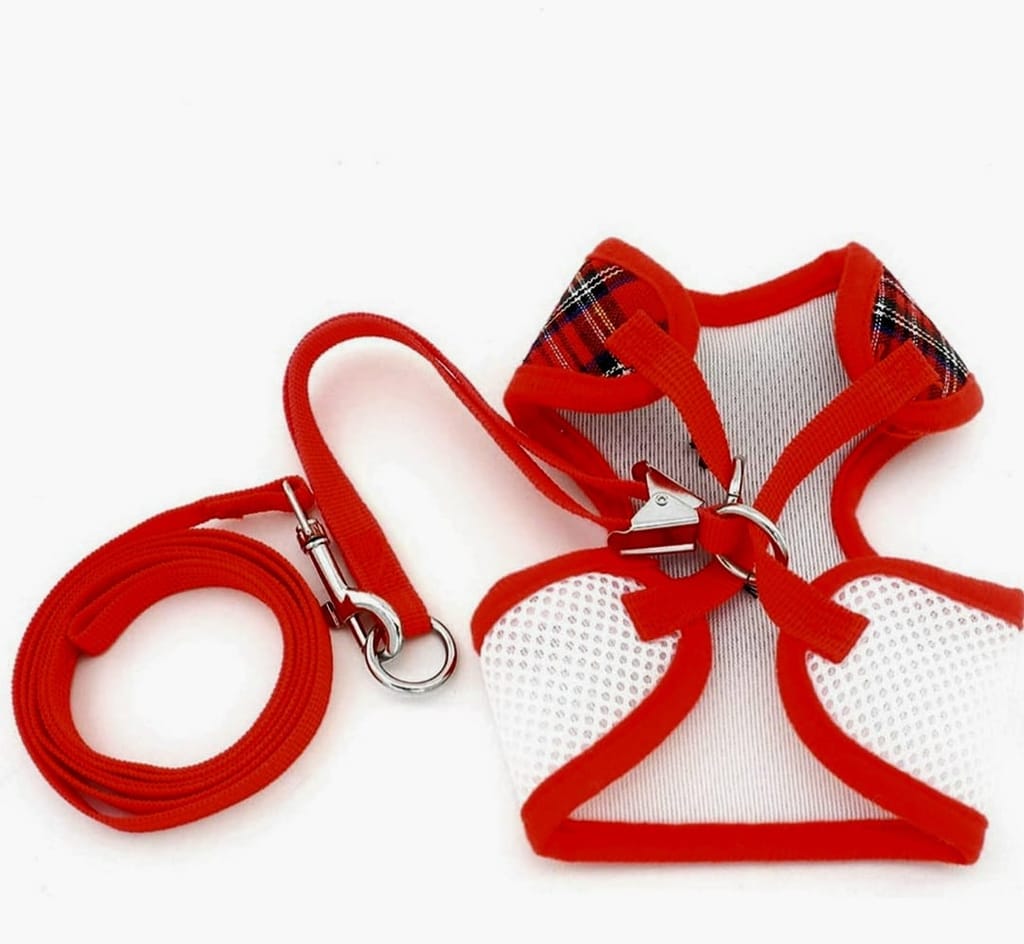 Cat Red Harness view 2