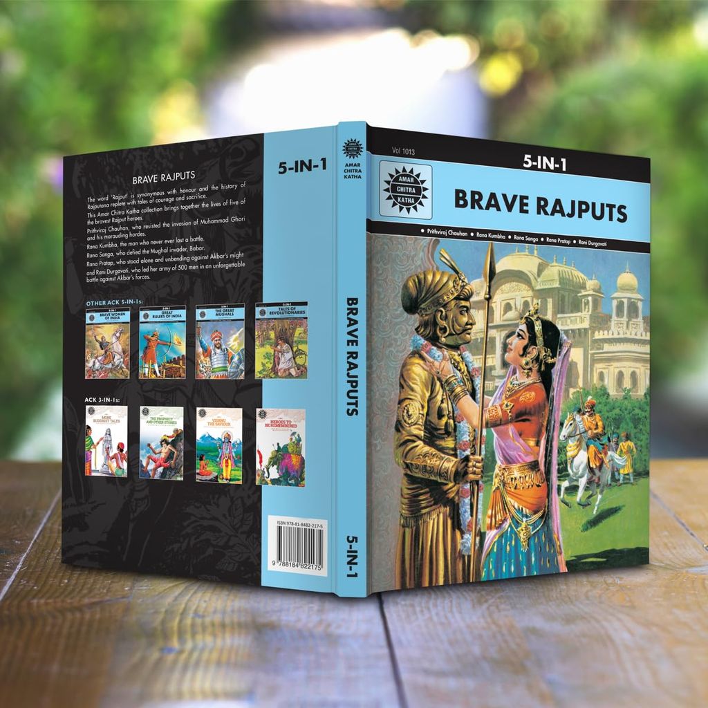 Brave Rajputs 5 in 1 view 2