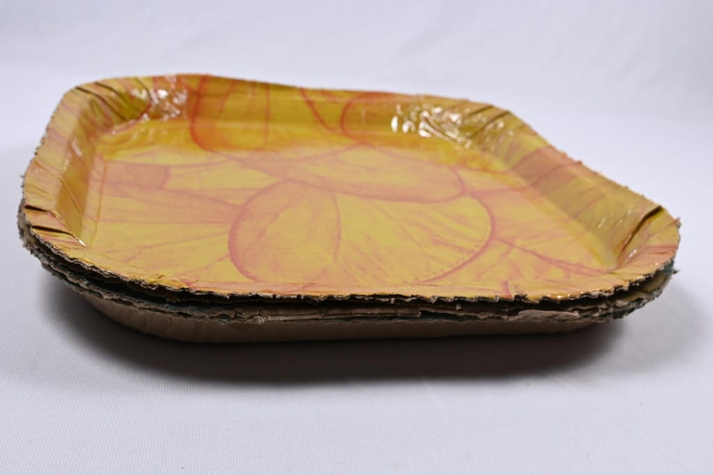 sonchiraiya Paper Plates-Pack of 40 view 2