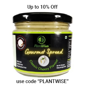 PlantWise Cheezy Spread Classic Flavour, 200 gm view 2