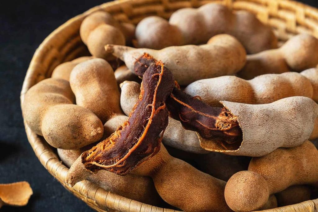 Tamarind Fruit (Outer Shell & Pulp) view 2