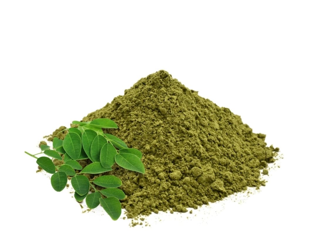 Dried Moringa Leaves Powder