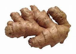 GINGER view 2