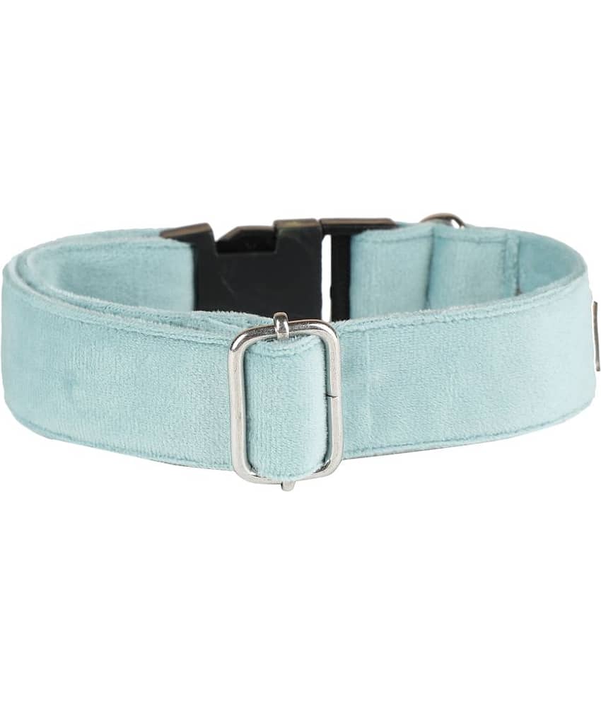 NUEVOS DOGGADIL - Black Collar ( X-Small ) view 2