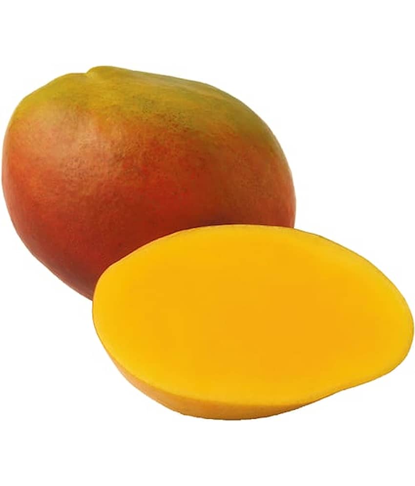 Cloud Farm Outdoor Fruit Plant ( Pack of 1 ) view 2