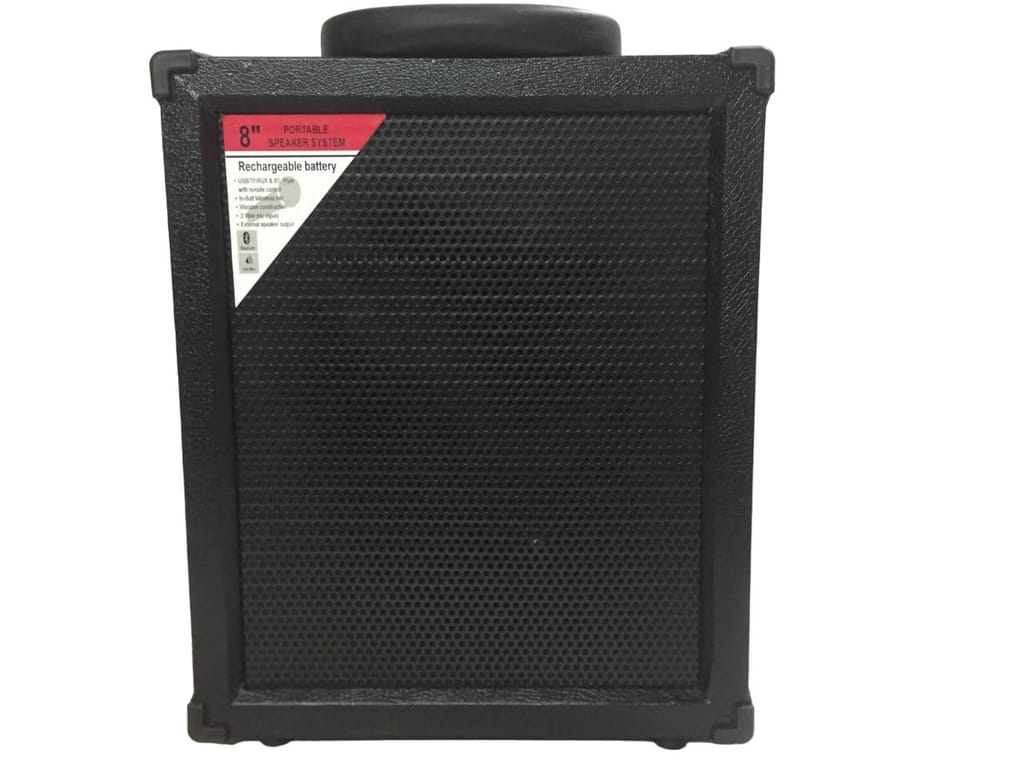 Cube C- 21 Amplifier view 2