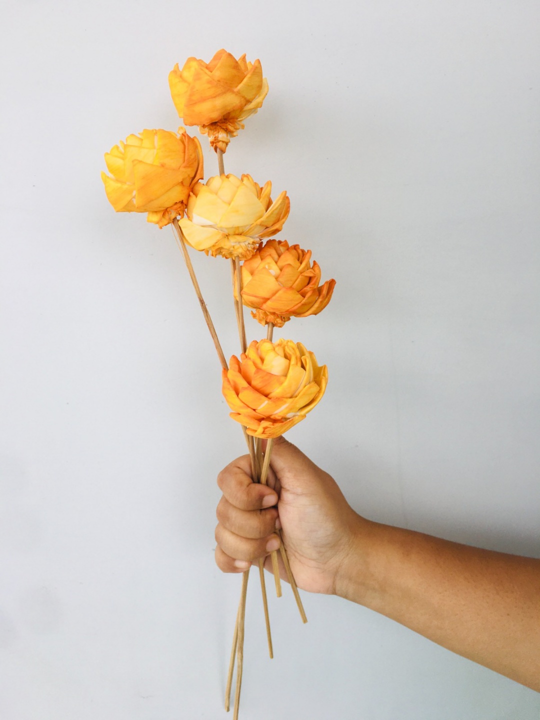 Ombre Ochre Sola Flower (5pcs)