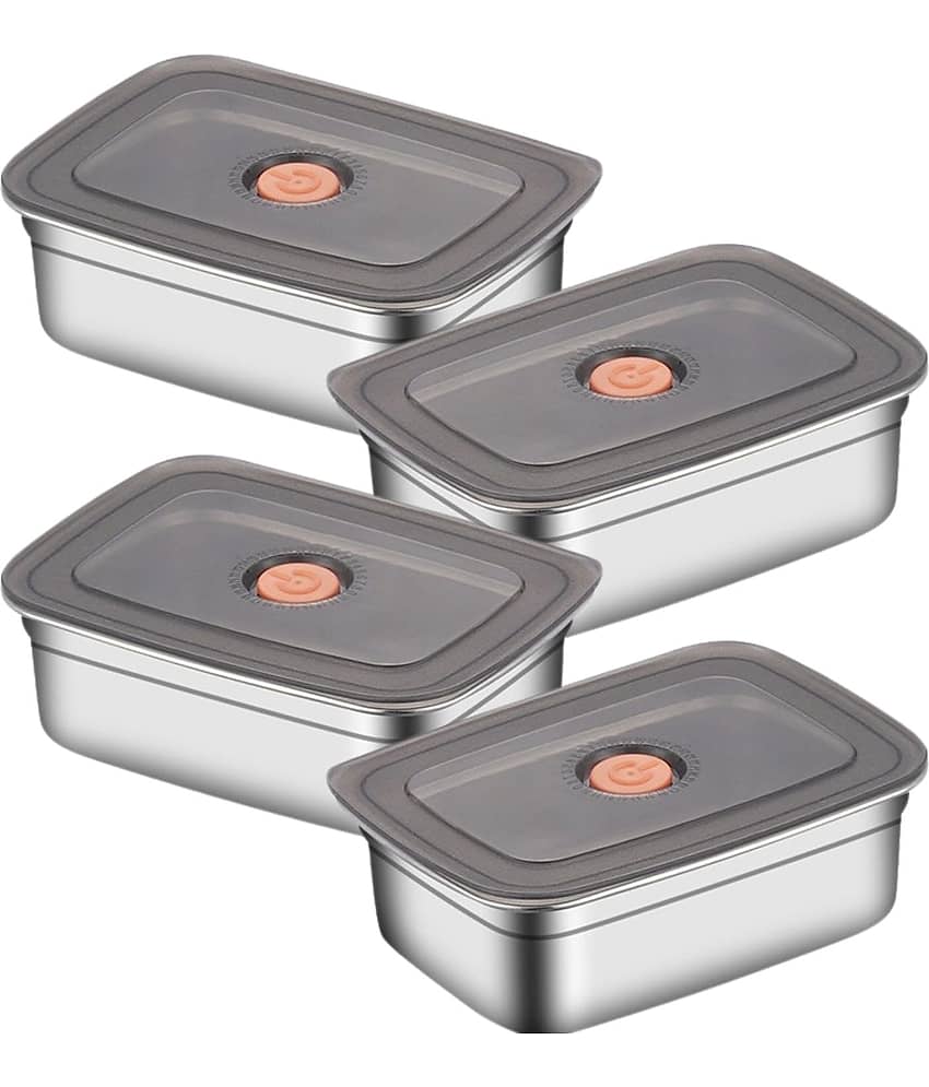 RAVISTRA Fridge Storage box Steel Silver Food Container ( Set of 3 )