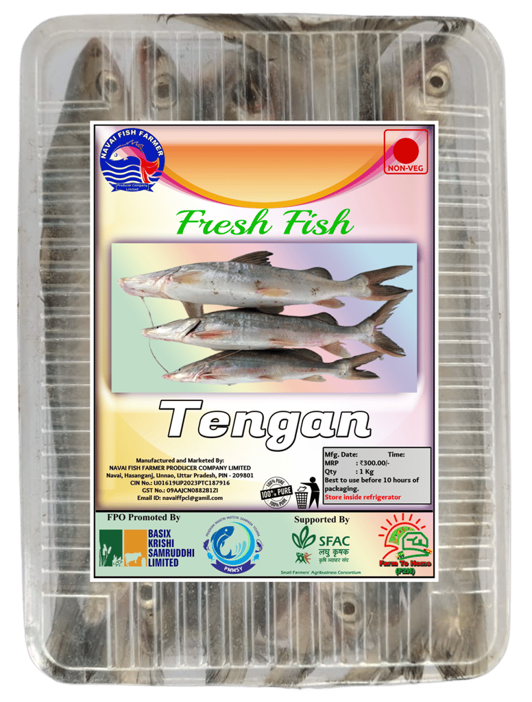 Tengan Fresh Fish | 1Kg