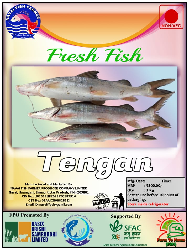 Tengan Fresh Fish | 1Kg view 2