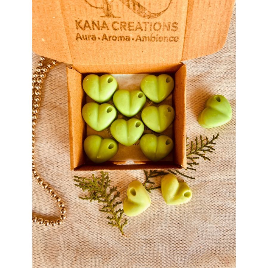 TRAVEL BOX OF SAGE HEALING WAX MELTS view 2