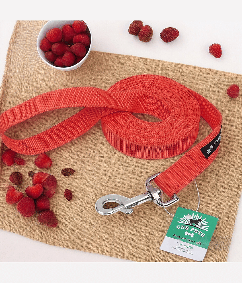GNS PETS Green Leash ( Large ) view 2