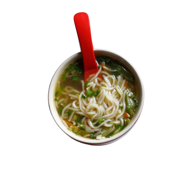 Veg. Noodle Soup